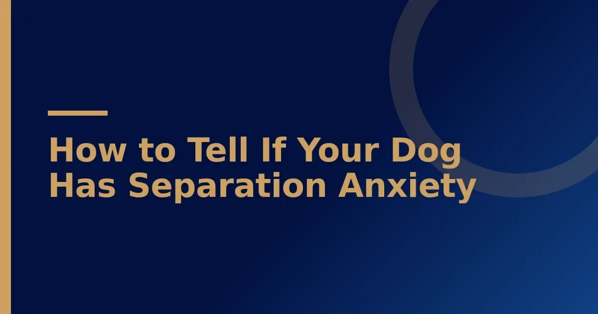 Six signs your dog has separation anxiety—and what marks real distress from normal goodbyes
