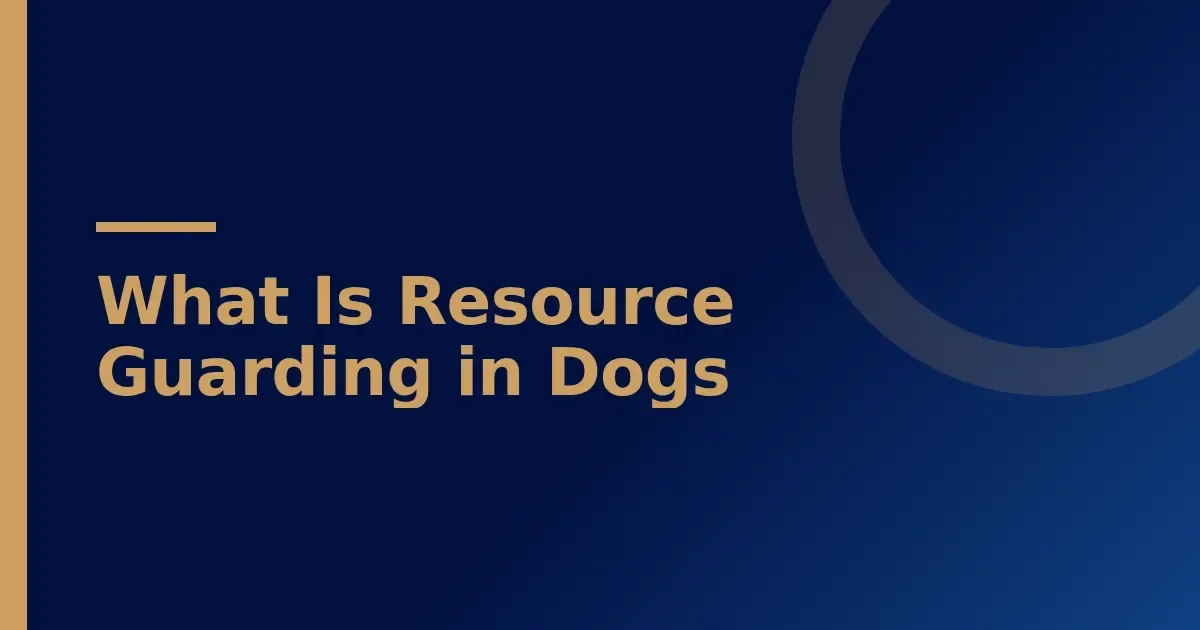 Resource guarding in dogs: 5 early signs and what they mean